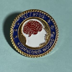 TBI/PTSD Signature Wound Awareness Lapel Pin EUC